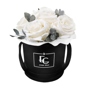 Vorschau: Splendid Eucalyptus Infinity Rosebox | Pure White | XS Vorschau: Splendid Eucalyptus Infinity Rosebox | Pure White | XS