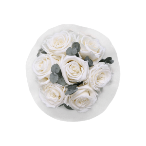 Vorschau: Splendid Eucalyptus Infinity Rosebox | Pure White | XS Vorschau: Splendid Eucalyptus Infinity Rosebox | Pure White | XS
