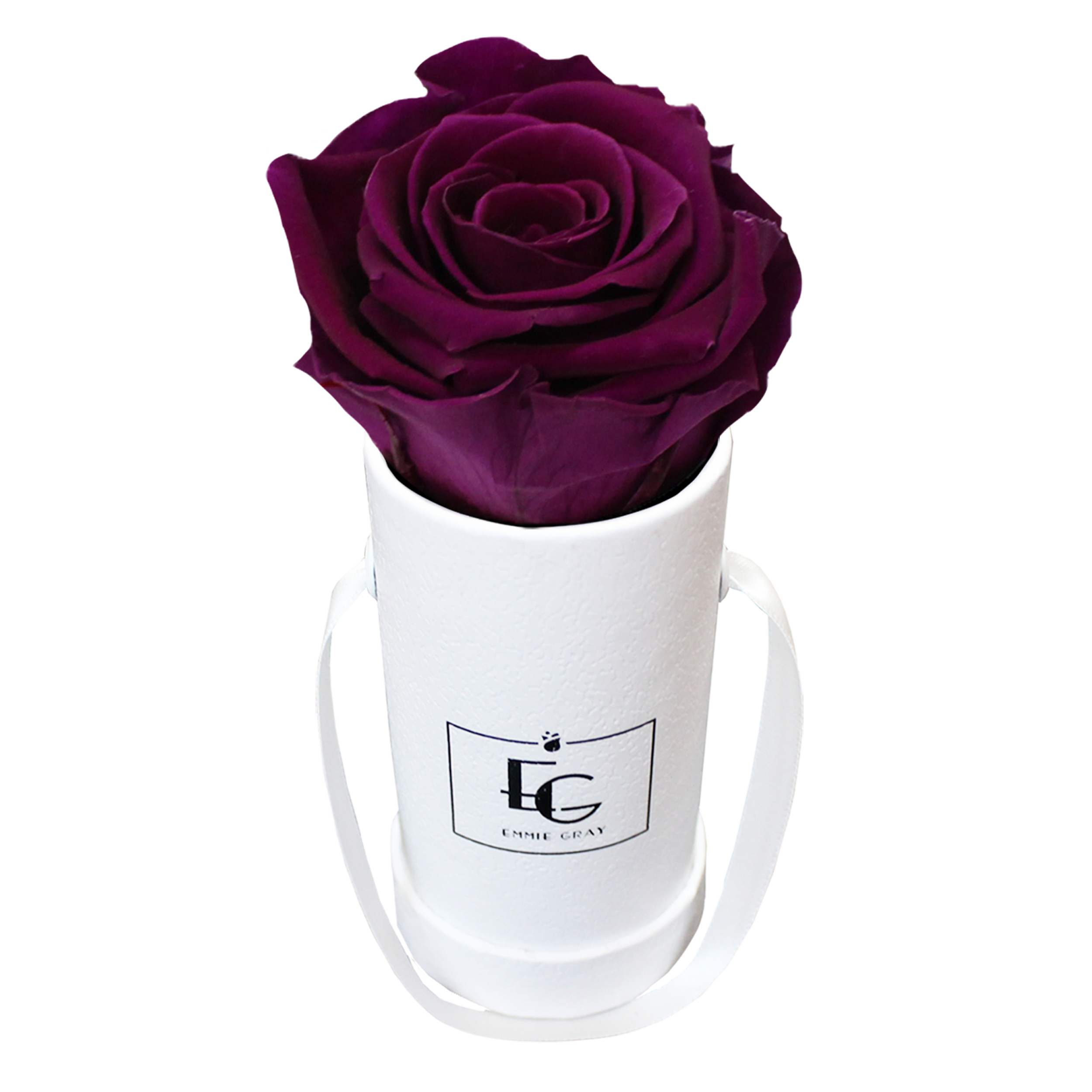 CLASSIC INFINITY ROSEBOX | VELVET PLUM | XXS CLASSIC INFINITY ROSEBOX | VELVET PLUM | XXS