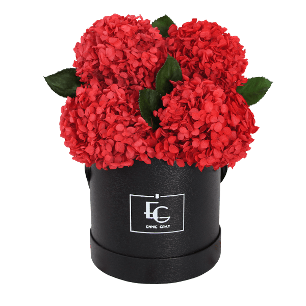 Signature Hydrangea Infinity Rosebox | Vibrant Red | S