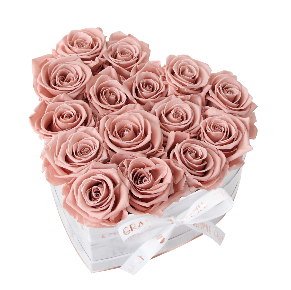 Classic Infinity Rosebox | Antique Pink | M