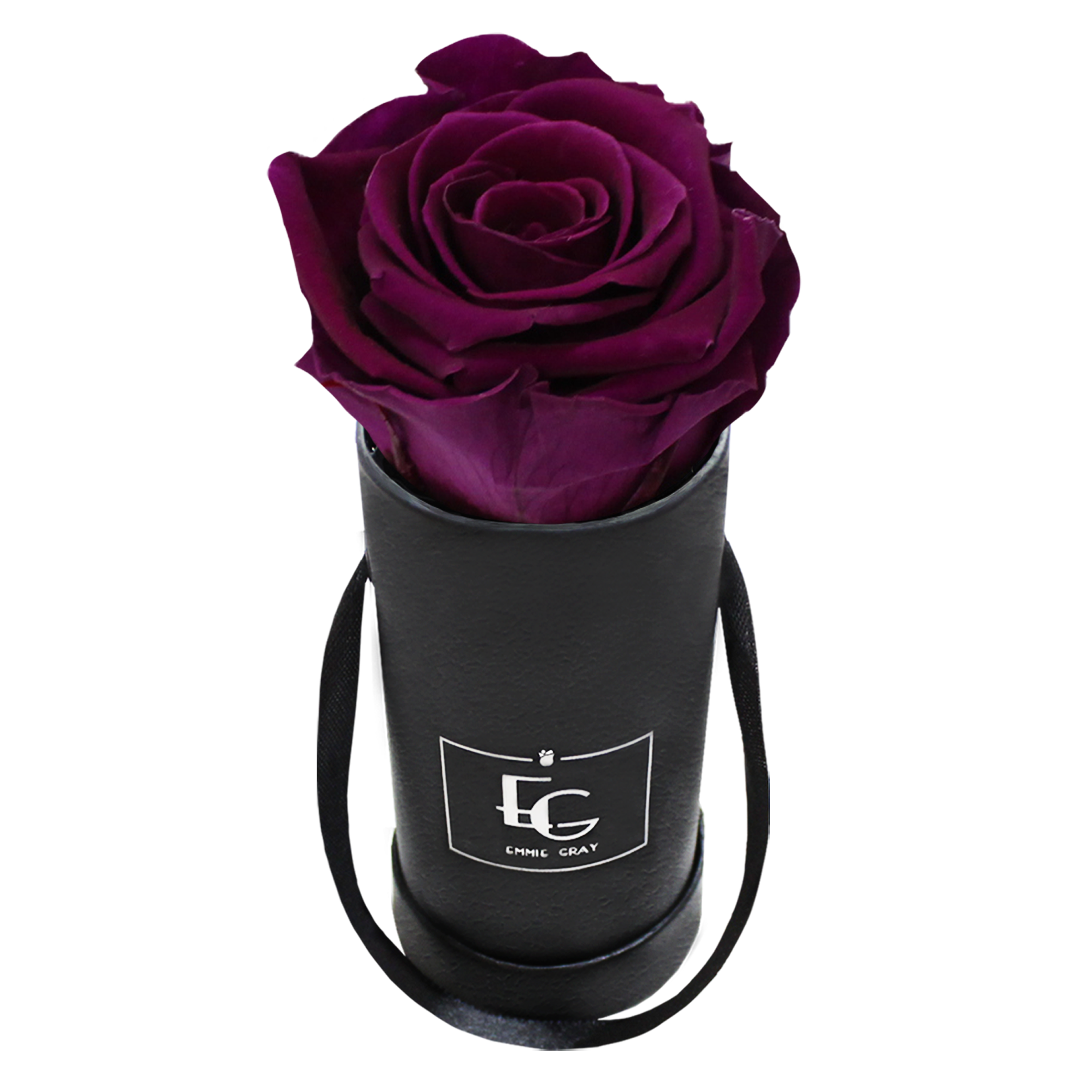 CLASSIC INFINITY ROSEBOX | VELVET PLUM | XXS