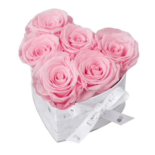 Classic Infinity Rosebox | Bridal Pink | S