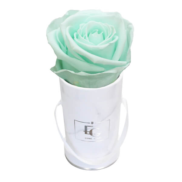 CLASSIC INFINITY ROSEBOX | MINTY GREEN | XXS