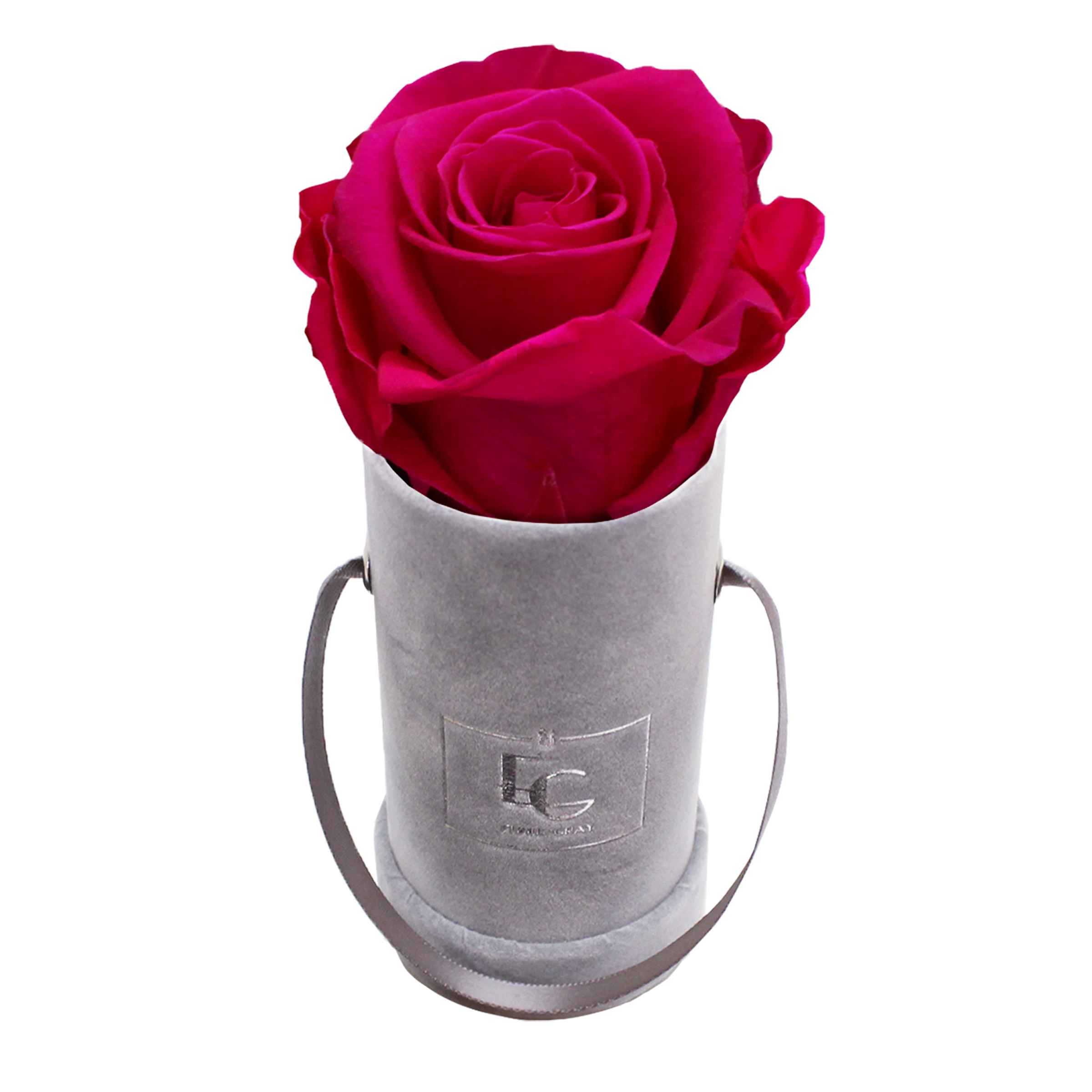 CLASSIC INFINITY ROSEBOX | HOT PINK | XXS CLASSIC INFINITY ROSEBOX | HOT PINK | XXS