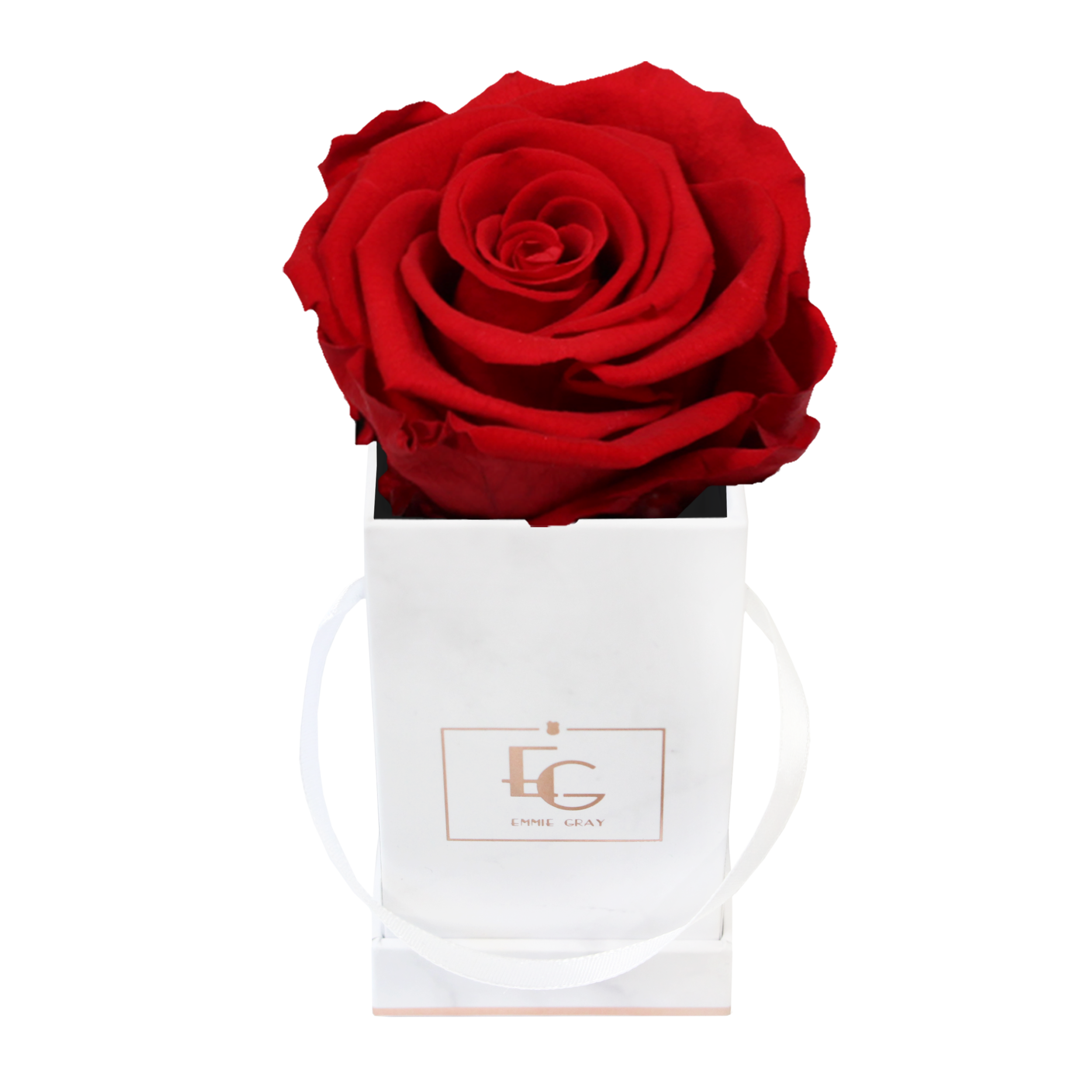 Classic Infinity Rosebox | Vibrant Red | XXS