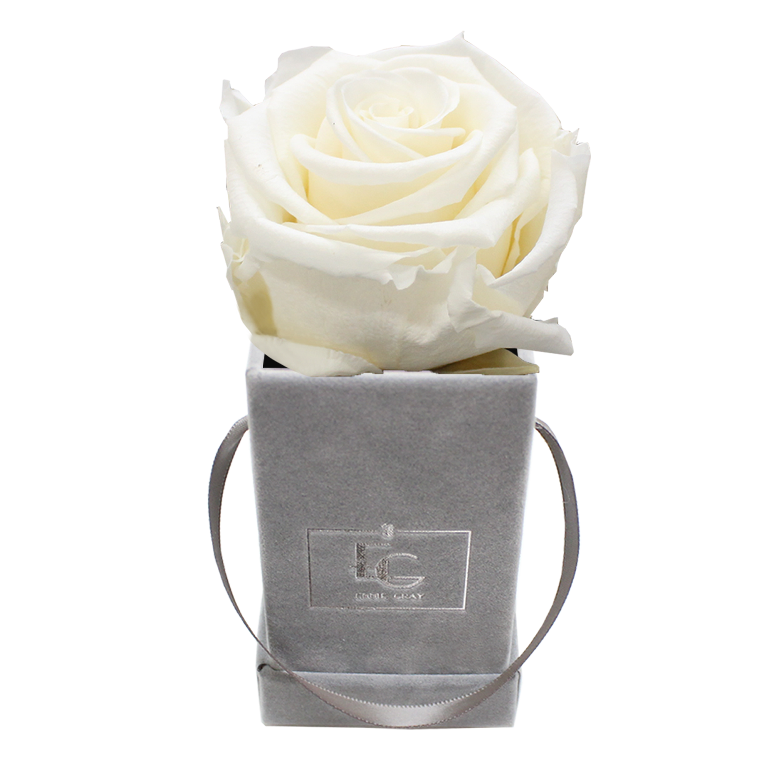 CLASSIC INFINITY ROSEBOX | PURE WHITE | XXS