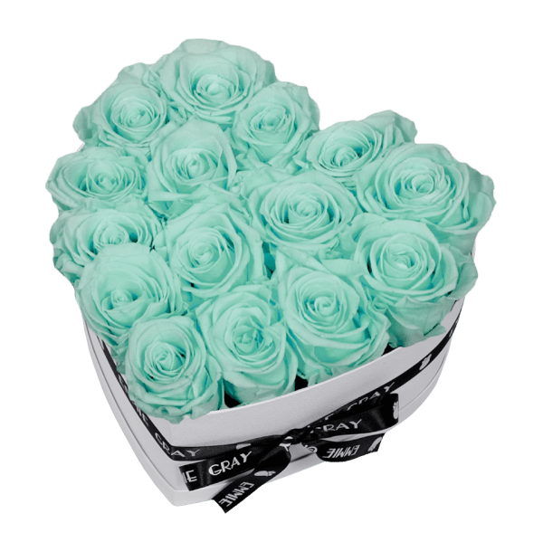 CLASSIC INFINITY ROSEBOX | MINTY GREEN | M