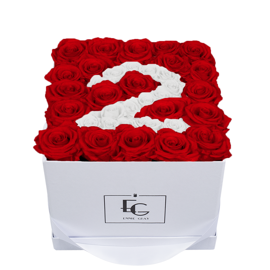 NUMBER INFINITY ROSEBOX | VIBRANT RED & PURE WHITE | M