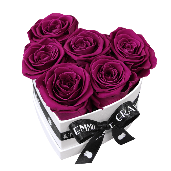 Classic Infinity Rosebox | Velvet Plum | S