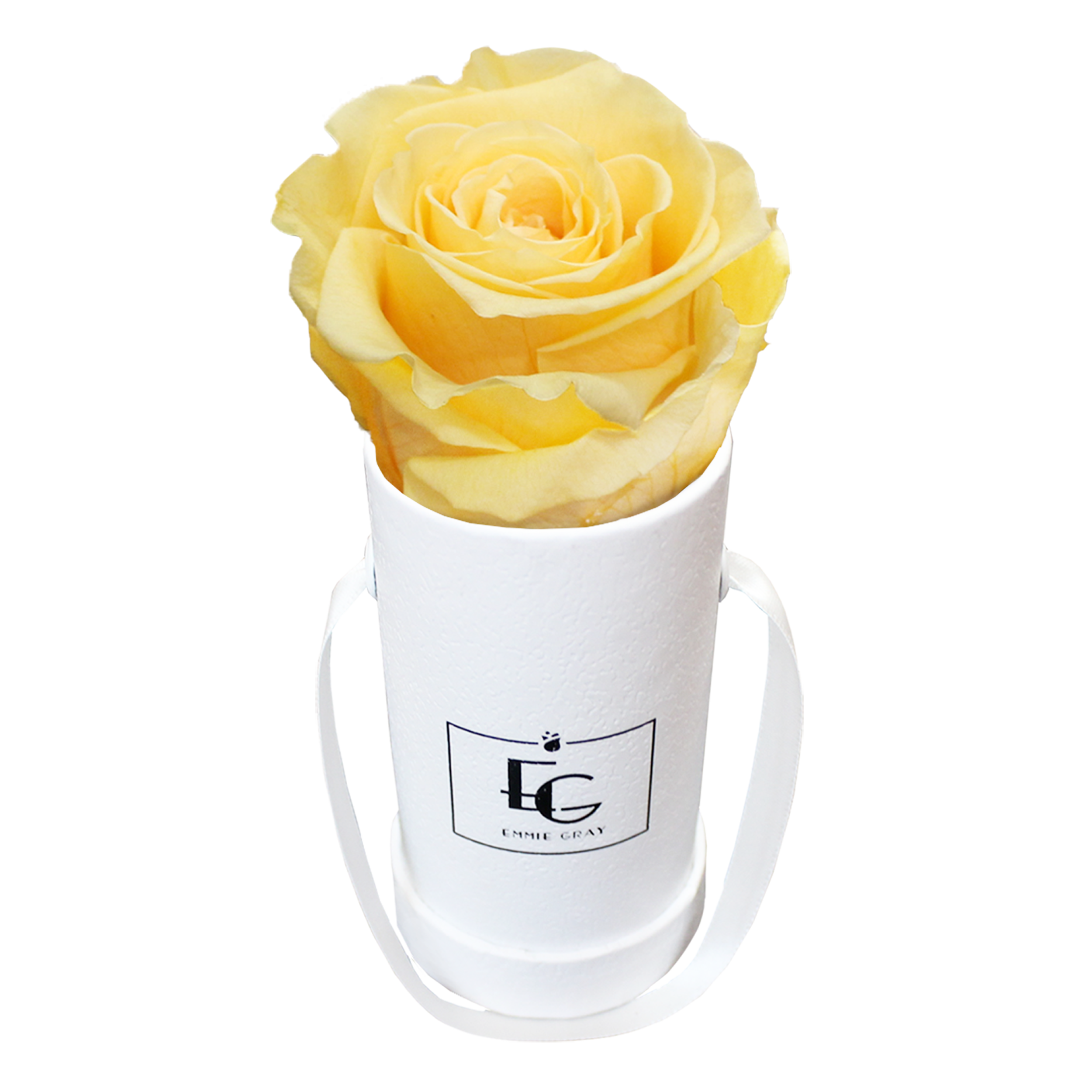 CLASSIC INFINITY ROSEBOX | PERFECT PEACH | XXS CLASSIC INFINITY ROSEBOX | PERFECT PEACH | XXS