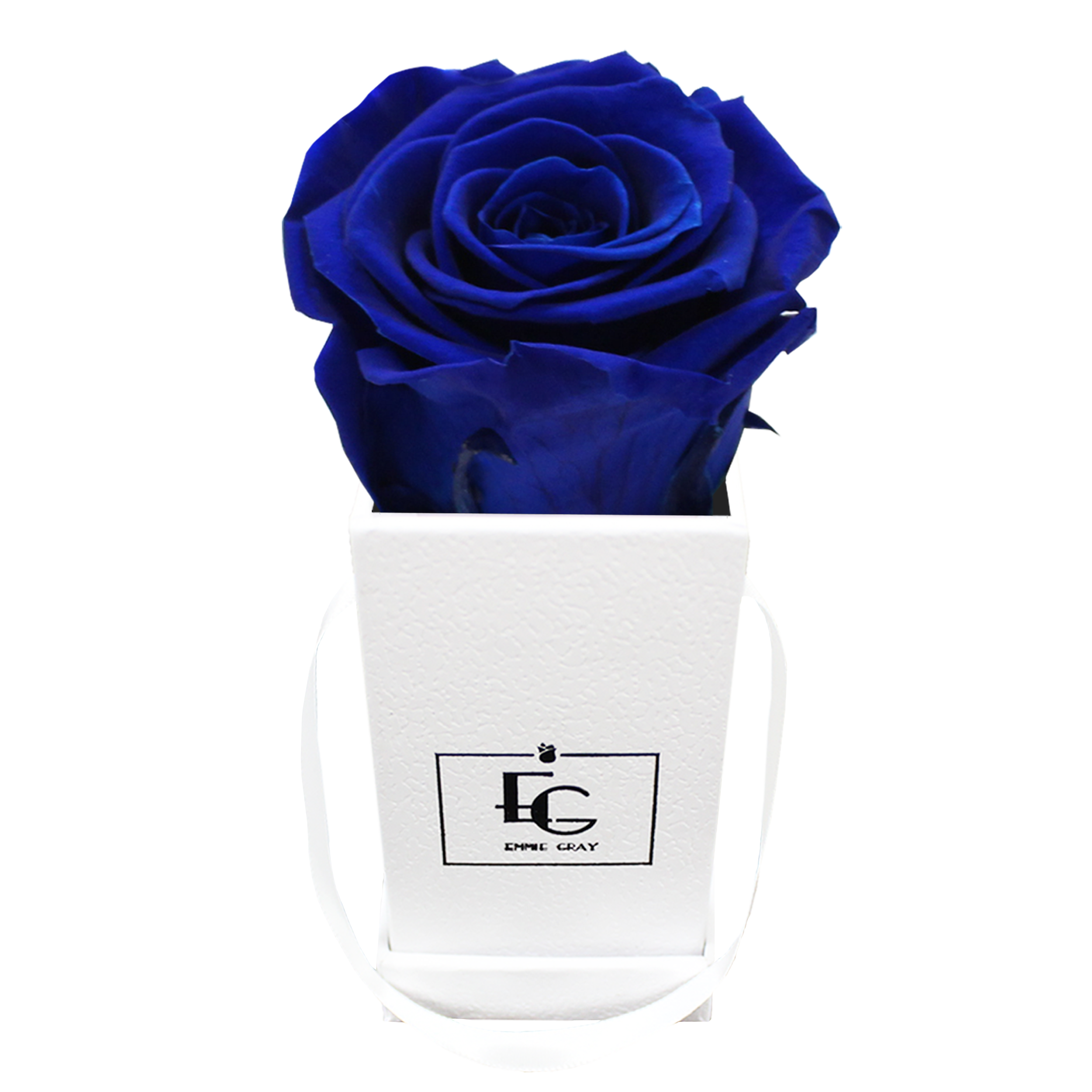 CLASSIC INFINITY ROSEBOX | OCEAN BLUE | XXS