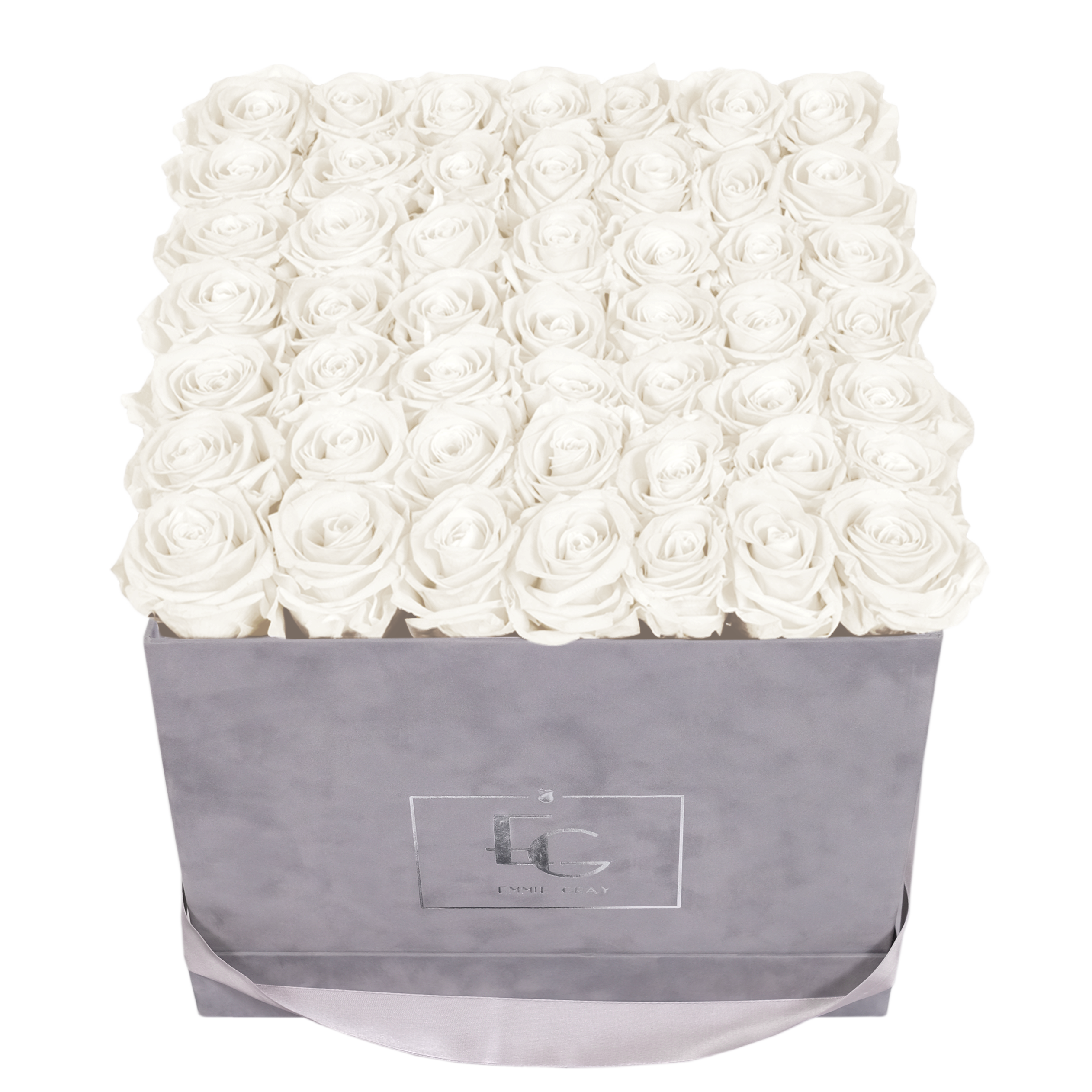 CLASSIC INFINITY ROSEBOX | PURE WHITE | L