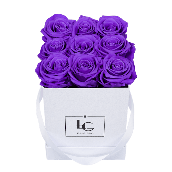 CLASSIC INFINITY ROSEBOX | VIOLET VAIN | S