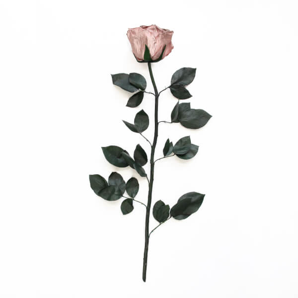Long Stem Infinity Rose | Rose Gold | 1 Rose