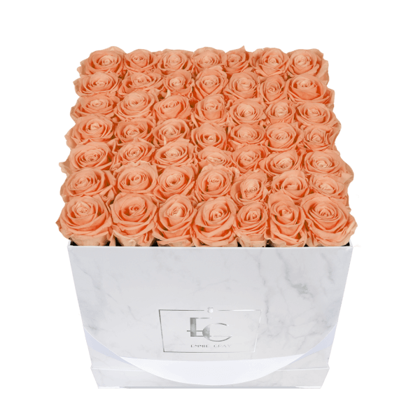 Classic Infinity Rosebox | Perfect Peach | L