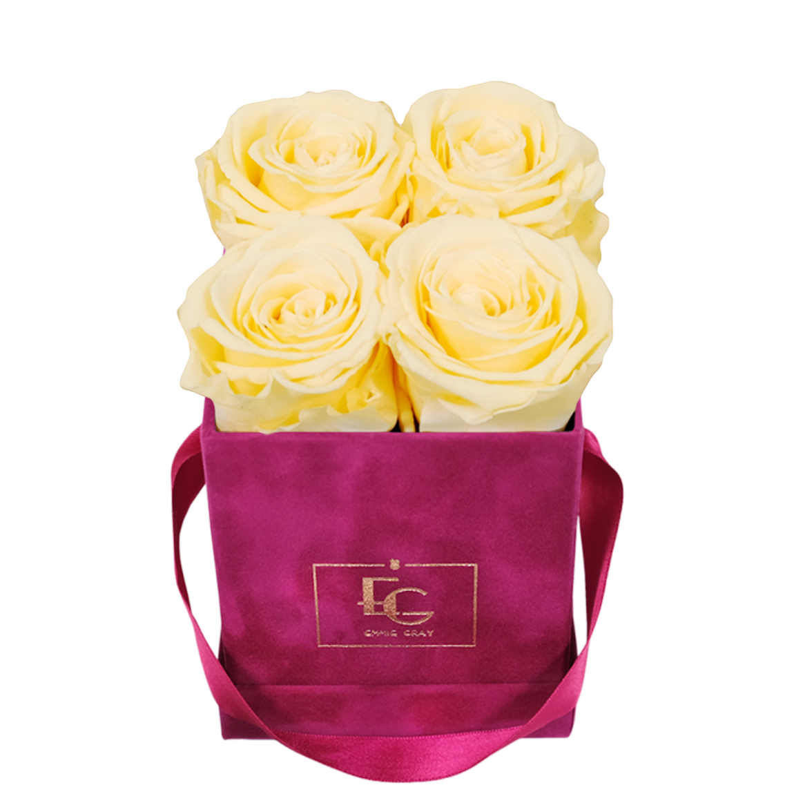 CLASSIC INFINITY ROSEBOX | CHAMPAGNE | XS