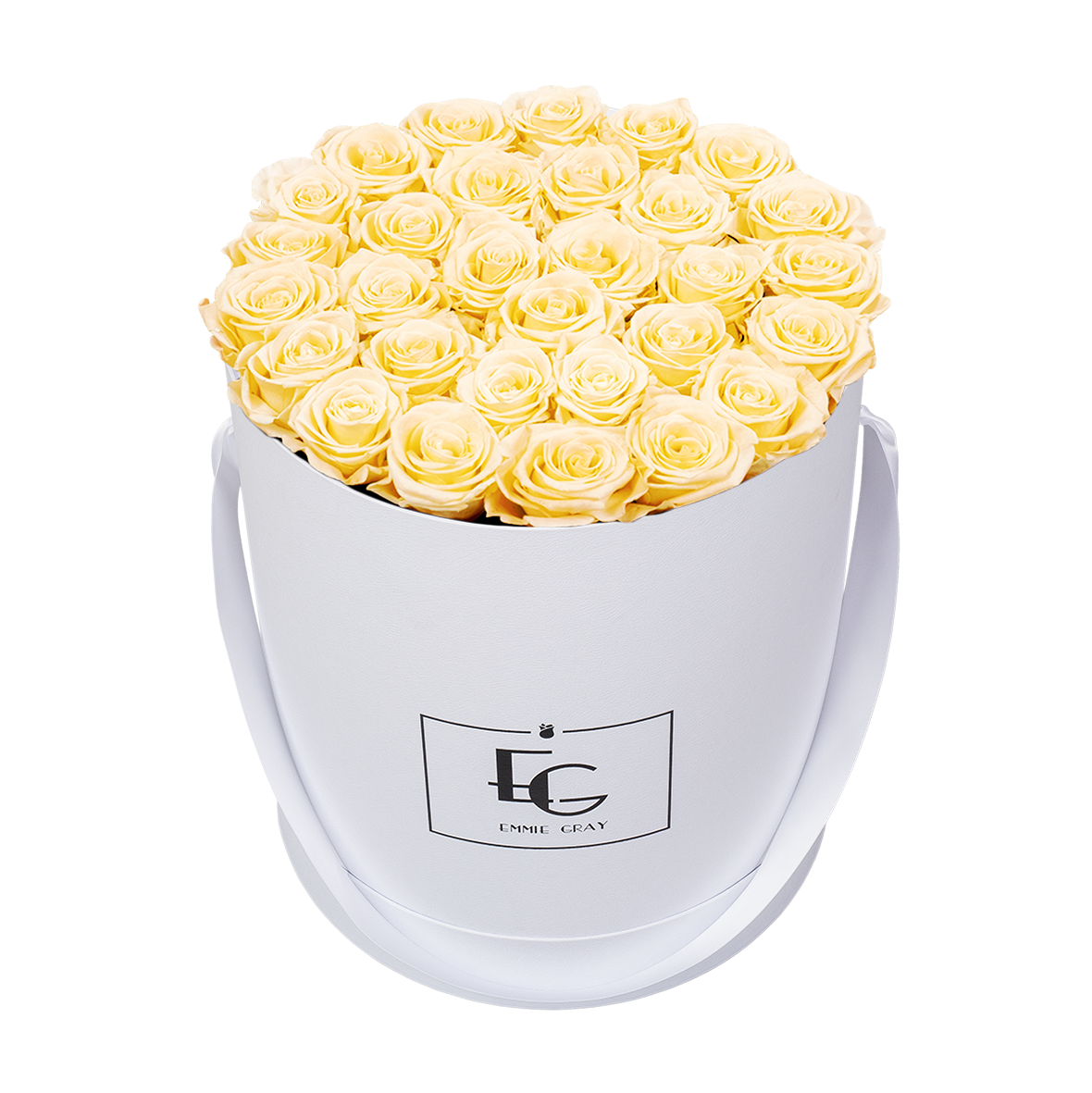 CLASSIC INFINITY ROSEBOX | CHAMPAGNE | L