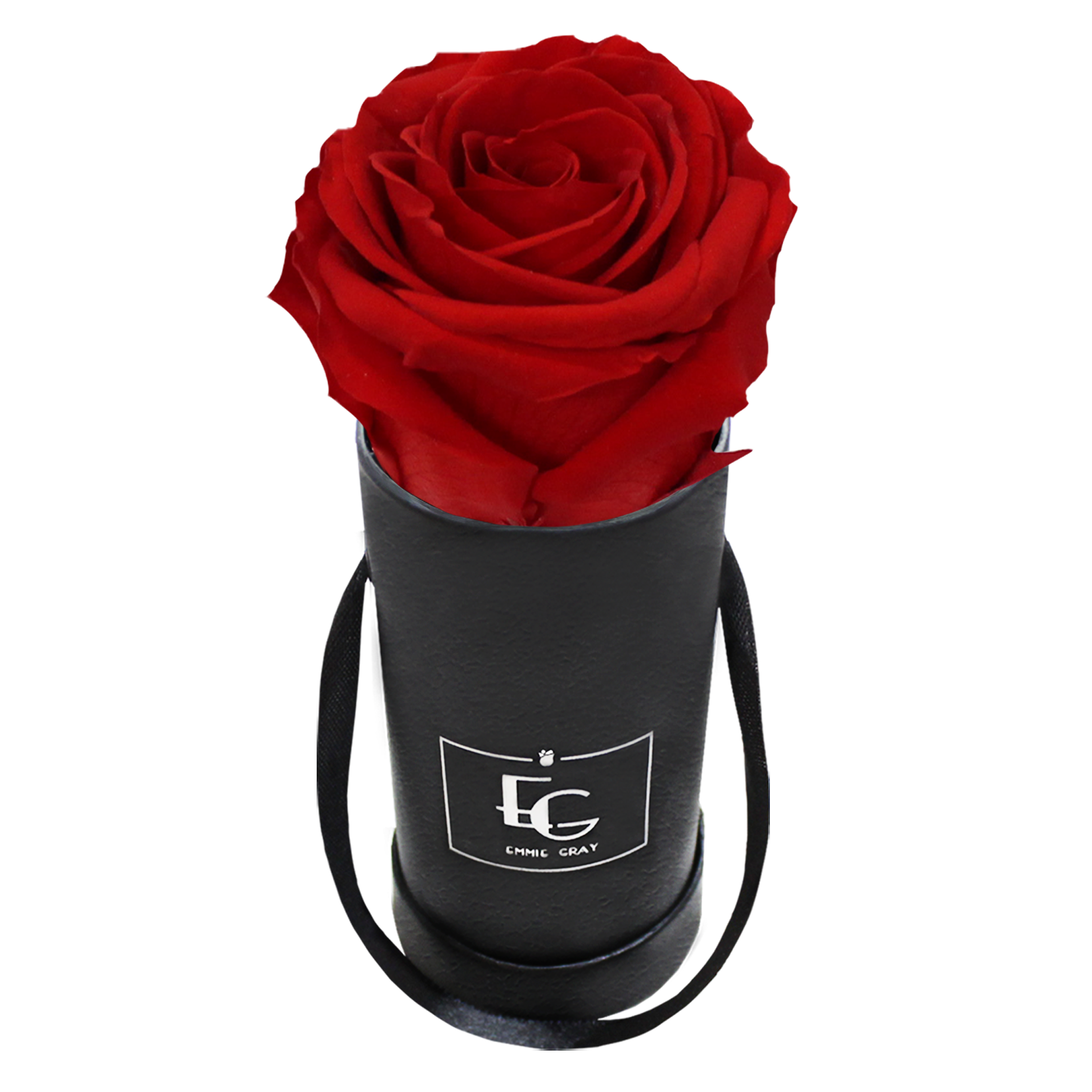 CLASSIC INFINITY ROSEBOX | VIBRANT RED | XXS