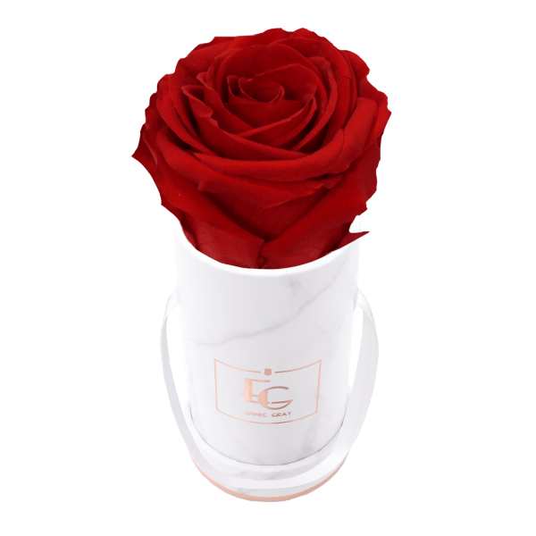 Classic Infinity Rosebox | Vibrant Red | XXS