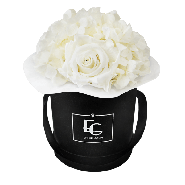 Splendid Hydrangea Infinity Rosebox | Pure White | XS