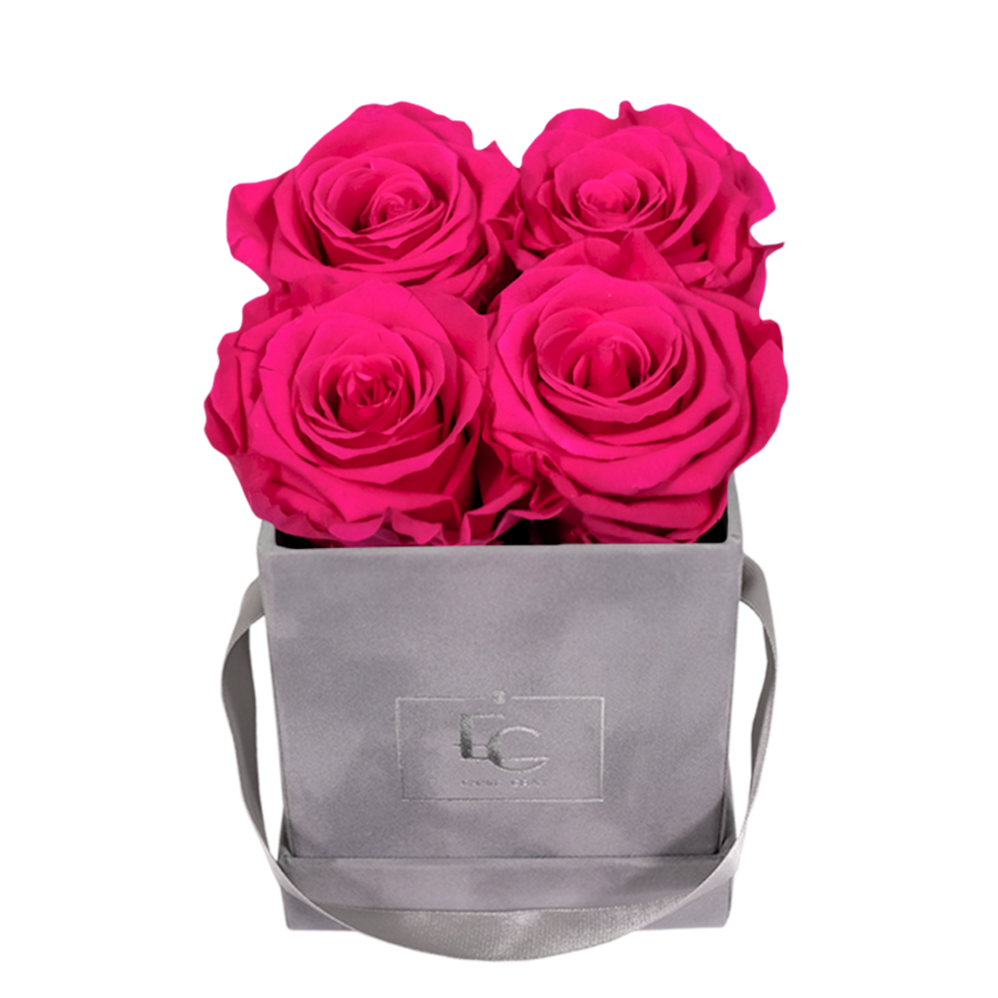 CLASSIC INFINITY ROSEBOX | HOT PINK | XS