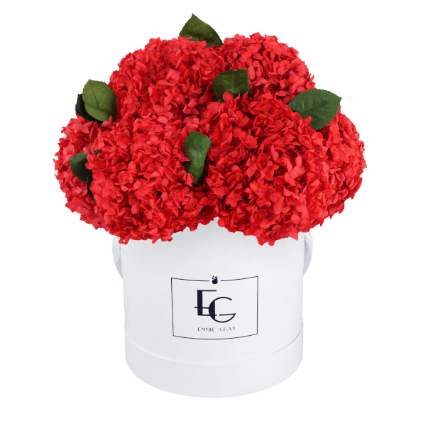 Signature Hydrangea Infinity Rosebox | Vibrant Red | M