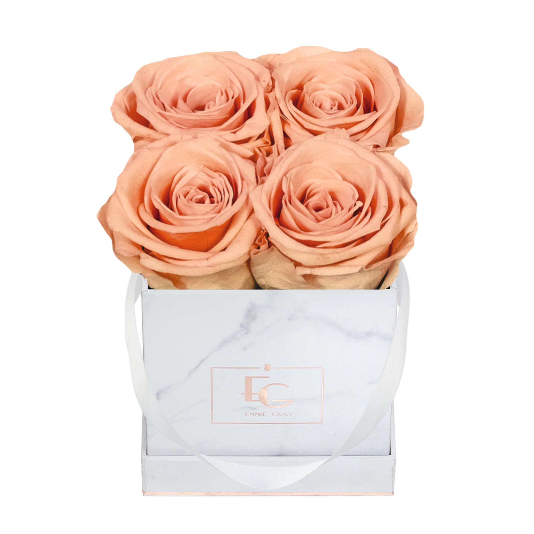 Classic Infinity Rosebox | Perfect Peach | XS