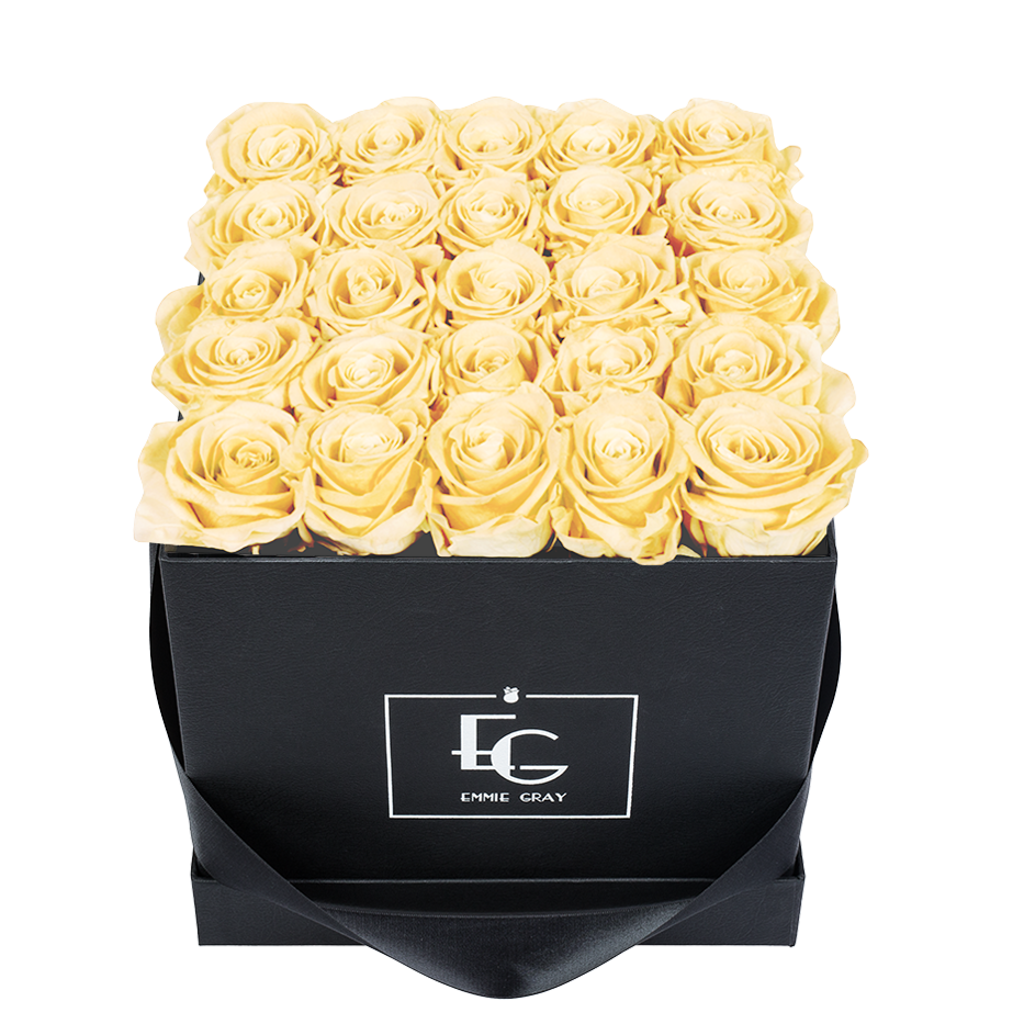 CLASSIC INFINITY ROSEBOX | CHAMPAGNE | M