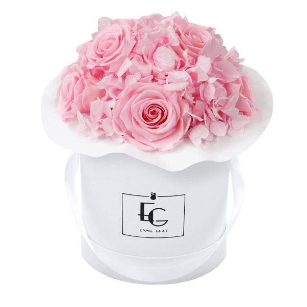 Splendid Hydrangea Infinity Rosebox | Bridal Pink | S