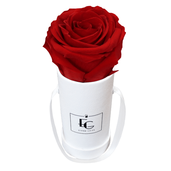 CLASSIC INFINITY ROSEBOX | VIBRANT RED | XXS