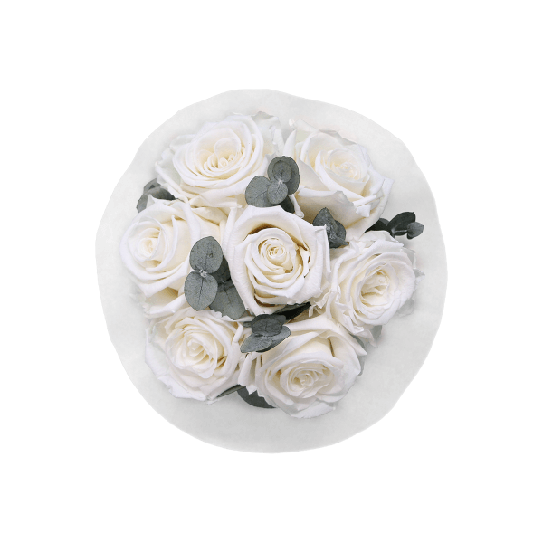Splendid Eucalyptus Infinity Rosebox | Pure White | XS