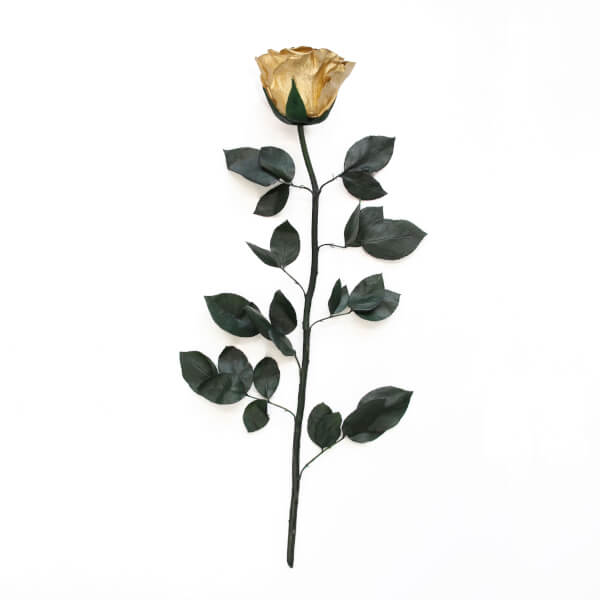 Long Stem Infinity Rose | Gold | 1 Rose