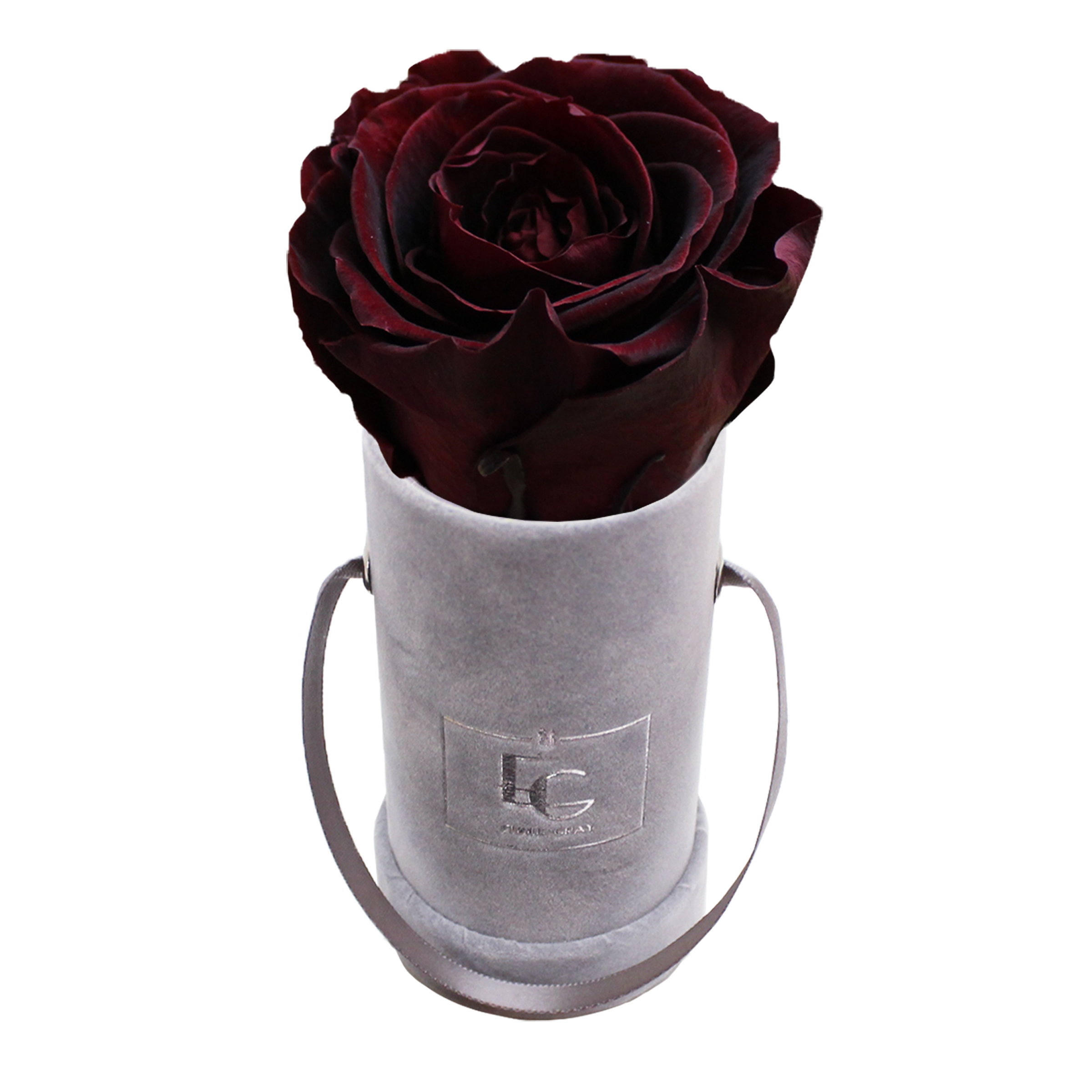 CLASSIC INFINITY ROSEBOX | BURGUNDY | XXS