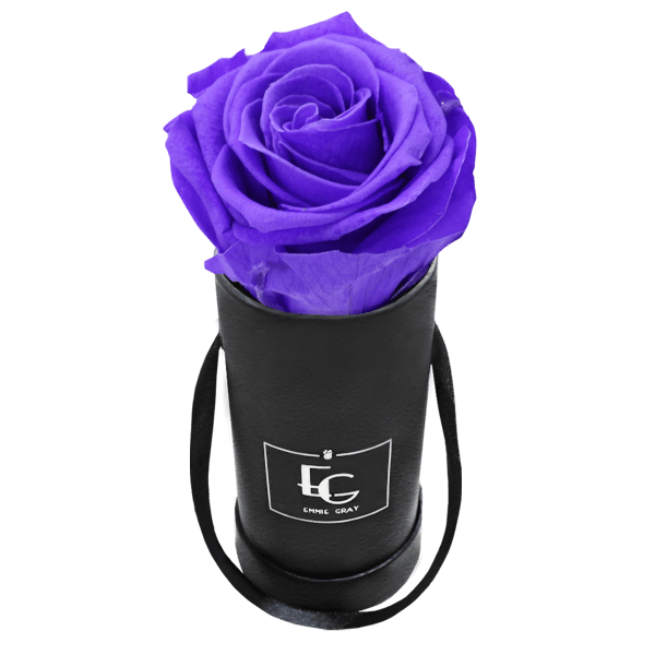 CLASSIC INFINITY ROSEBOX | VIOLET VAIN | XXS