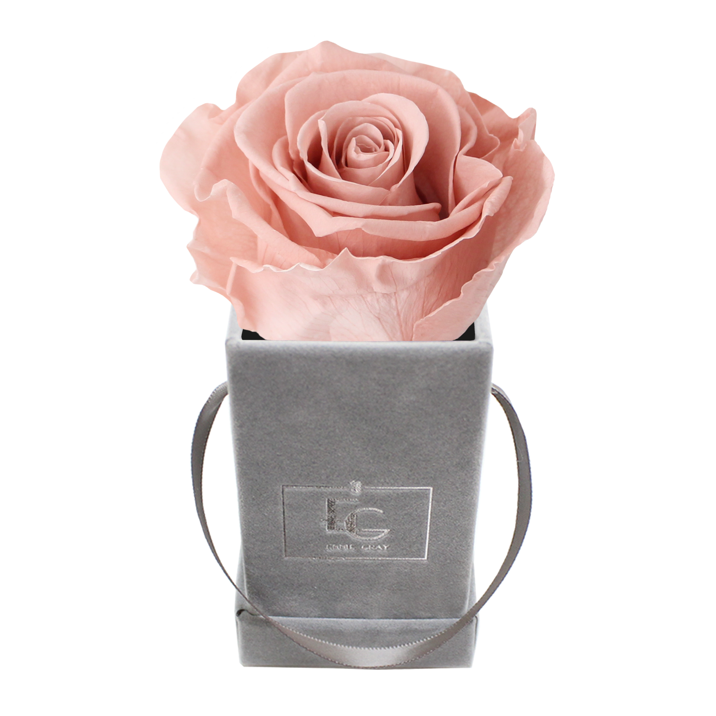 Classic Infinity Rosebox | Antique Pink | XXS
