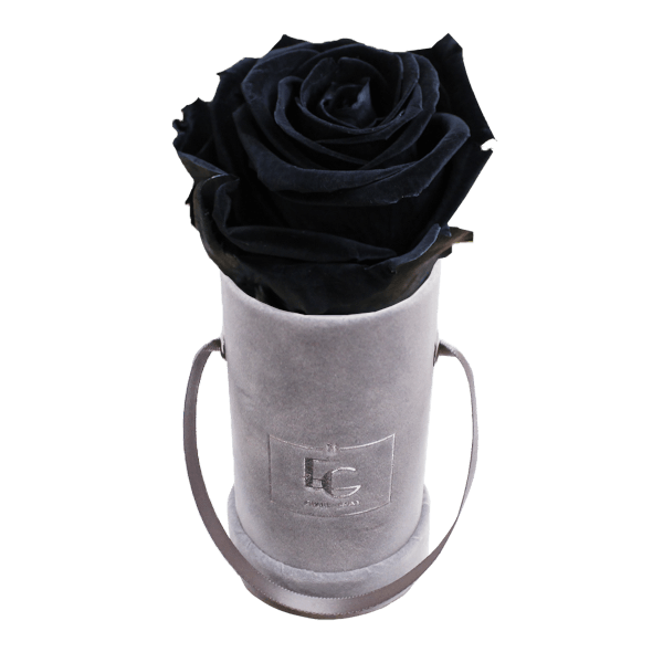 CLASSIC INFINITY ROSEBOX | BLACK BEAUTY | XXS