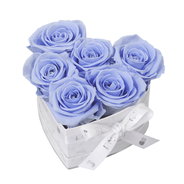 Classic Infinity Rosebox | Cool Lavender | S