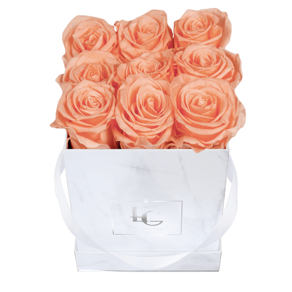 Classic Infinity Rosebox | Perfect Peach | S