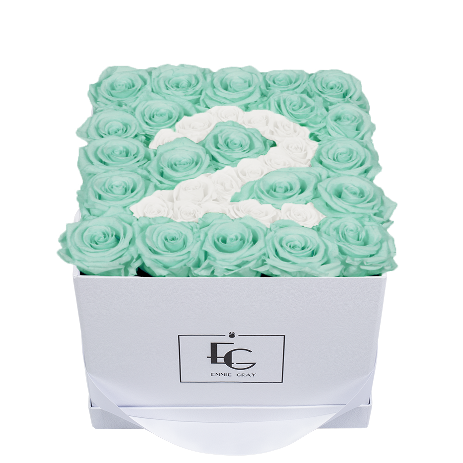 NUMBER INFINITY ROSEBOX | MINTY GREEN & PURE WHITE | M
