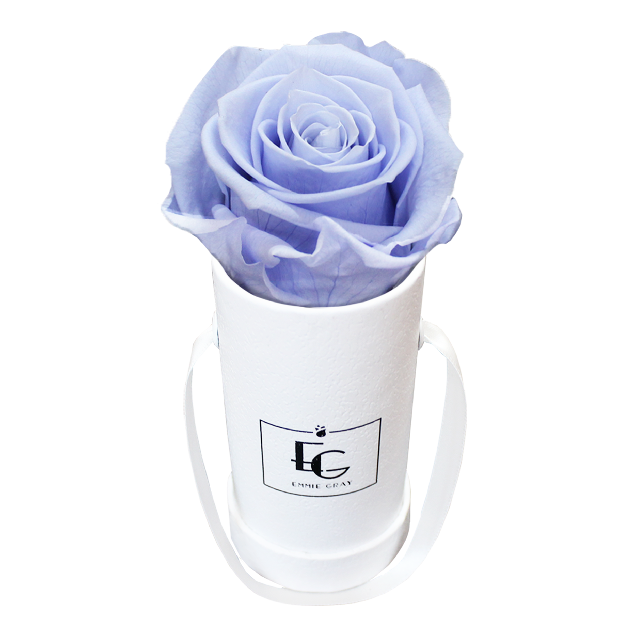 CLASSIC INFINITY ROSEBOX | COOL LAVENDER | XXS