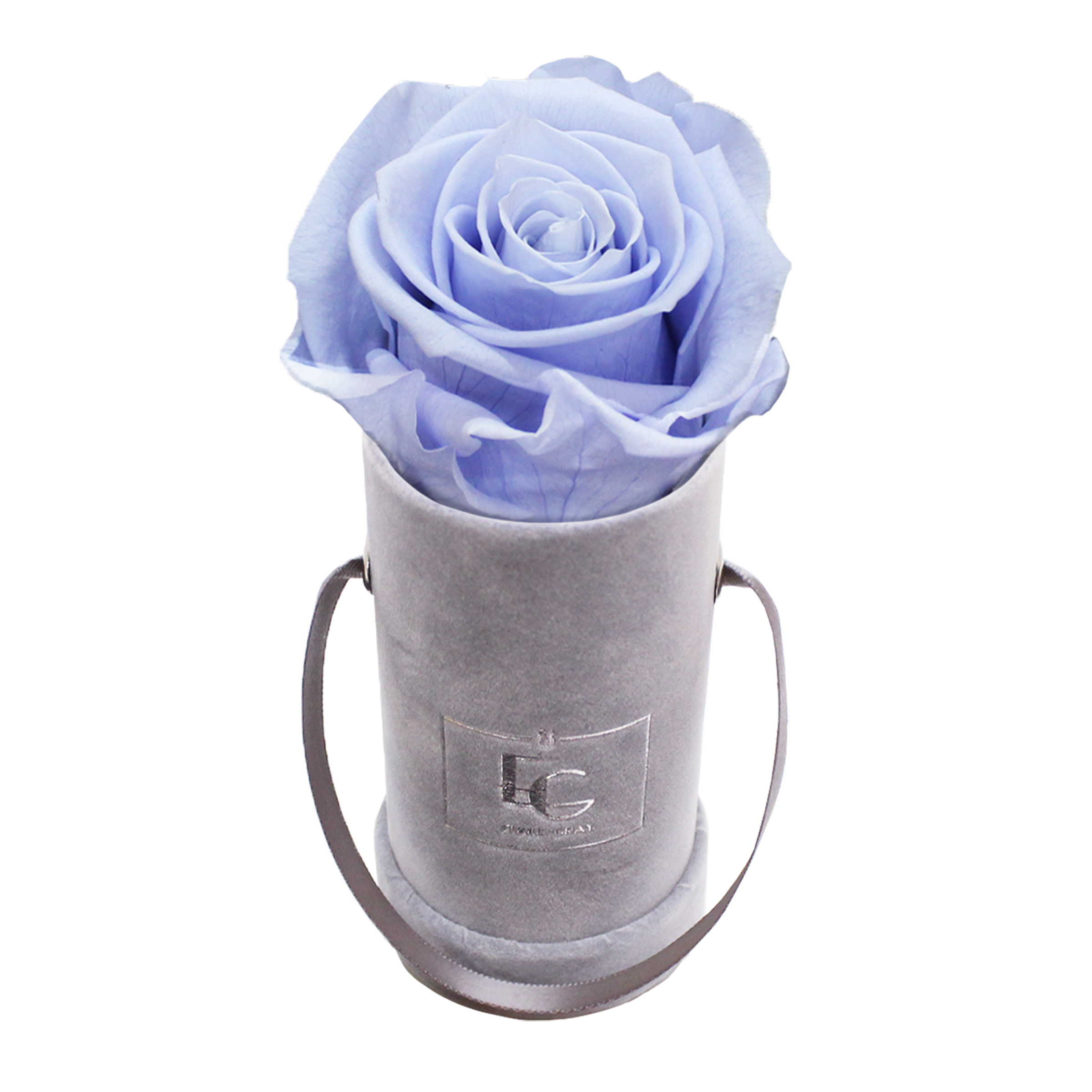 CLASSIC INFINITY ROSEBOX | COOL LAVENDER | XXS