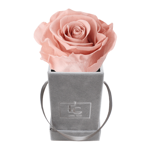 Classic Infinity Rosebox | Antique Pink | XXS