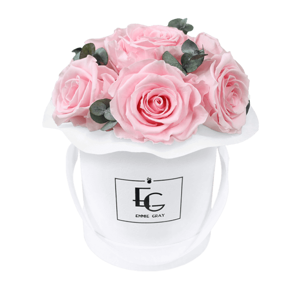 Splendid Eucalyptus Infinity Rosebox | Bridal Pink | XS