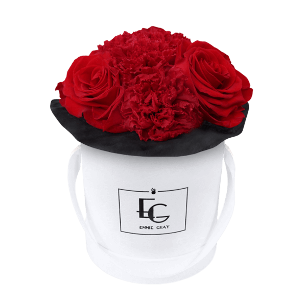 SPLENDID CARNATION INFINITY ROSEBOX | VIBRANT RED | XS