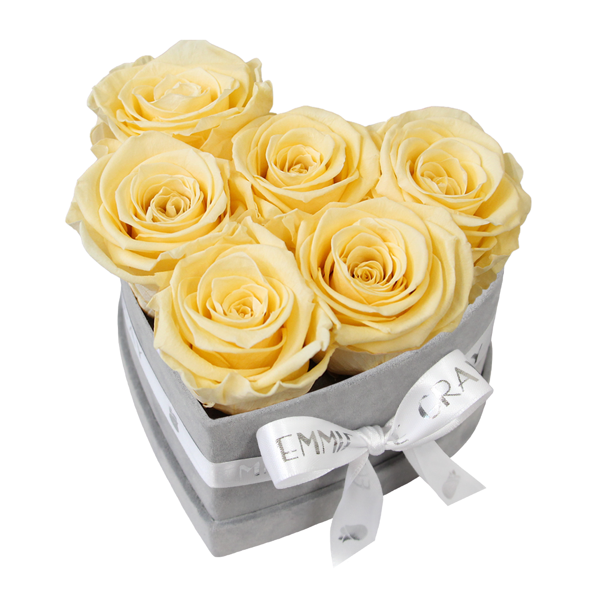 Classic Infinity Rosebox | Champagne | S Classic Infinity Rosebox | Champagne | S