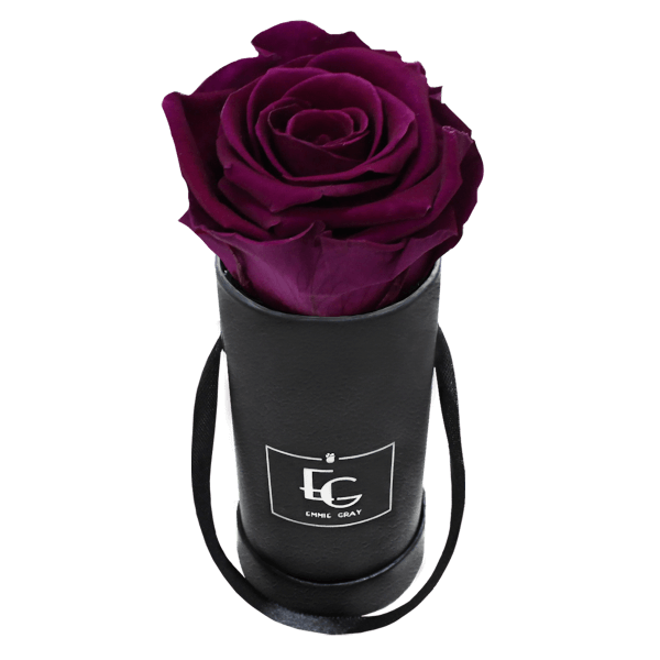 CLASSIC INFINITY ROSEBOX | VELVET PLUM | XXS