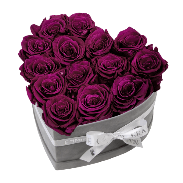 Classic Infinity Rosebox | Velvet Plum | M