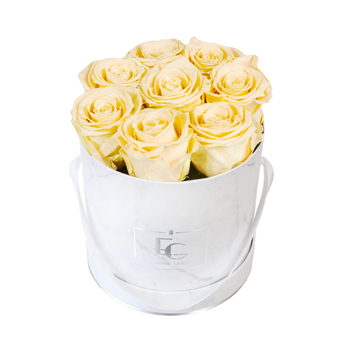 CLASSIC INFINITY ROSEBOX | CHAMPAGNE | S