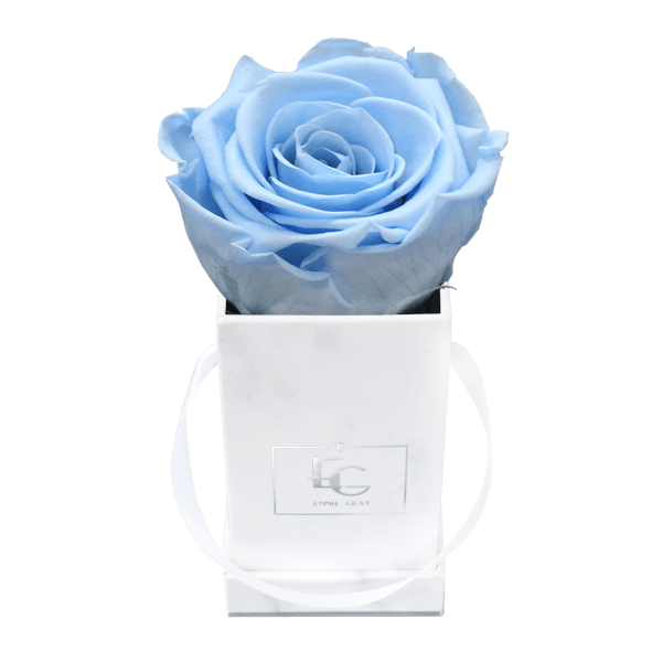 Classic Infinity Rosebox | Baby Blue | XXS